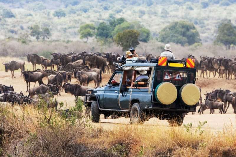 4 Days Wildlife Safari In Kenya