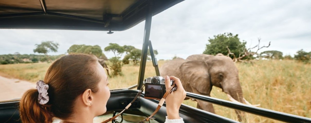 Wildlife Safaris in Kenya and Tanzania